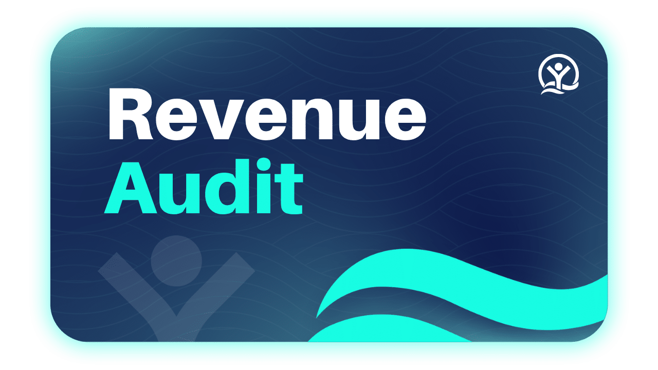 Revenue Audit Tool